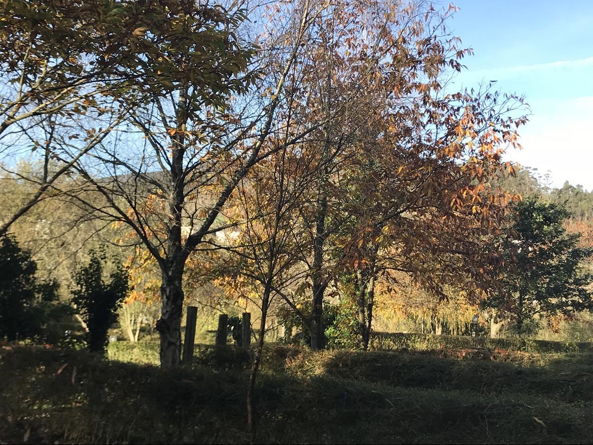 Camping Amaido San Tirso de Abres Exterior foto