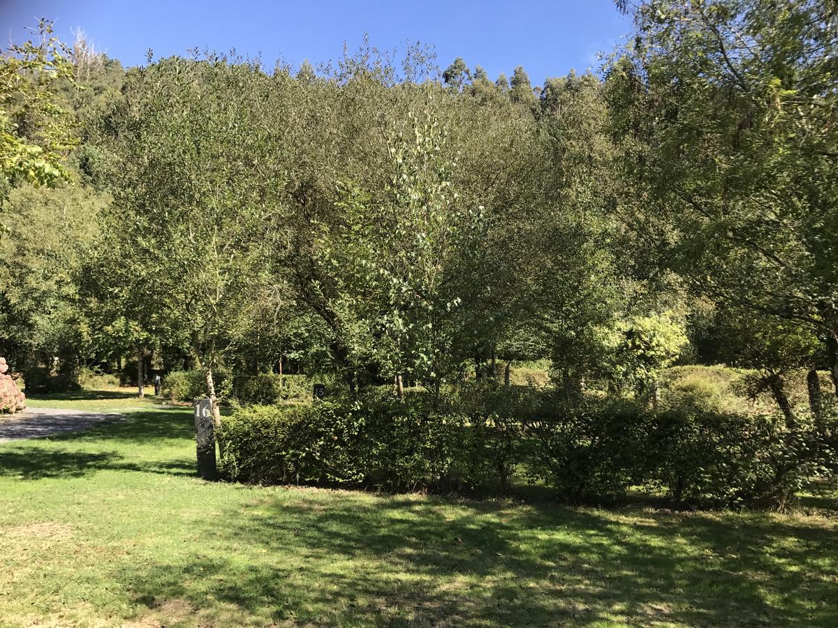 Camping Amaido San Tirso de Abres Exterior foto